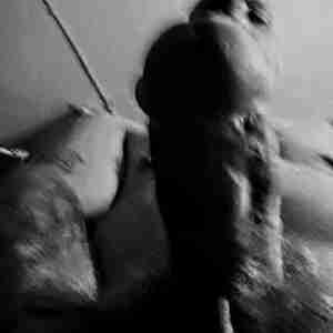 Everything Fucks White dick