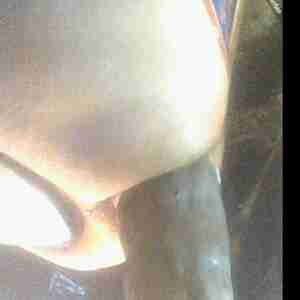 Big Black Dildos In My Ass Screenshots of 14 inch dildos being swallowed - balls deep by my hungry ass as I watch BBC porn