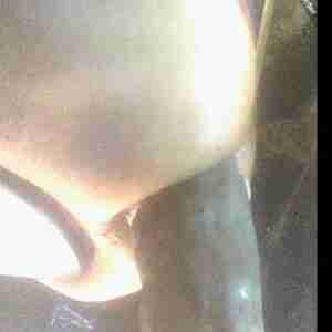 Big Black Dildos In My Ass Screenshots of 14 inch dildos being swallowed - balls deep by my hungry ass as I watch BBC porn