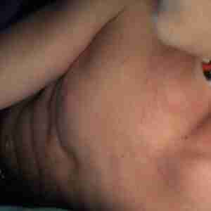 chev labrador 
my number is 
0410 604 062 stud