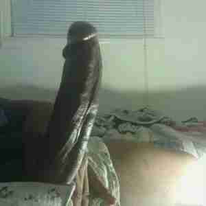 Big Black Cocks of Houston Pics of some big black cocks in Houston that I'd love to have in my ass. BBC