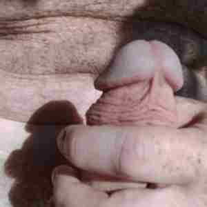 All of me. Most are nudes. Hot member.