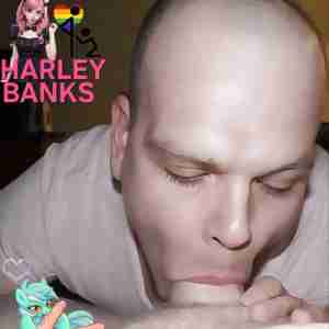Columbus Ohios biggest DICK SUCKER Harley Banks! I have a secret..I've been sneaking around blowing big dicked daddy's for 40