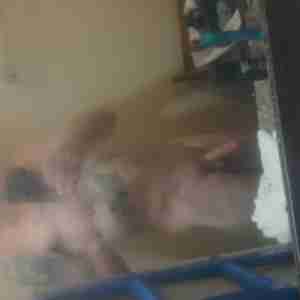 romesdirk69 My Cock Let's Fuck,