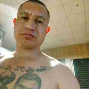 Freak Looking for a freak I'm down for whatever