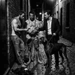 Sucking my Horse Cock! Man, I so wish... Horse, dick, cock, faggot, cocksucker, pervert, sexual deviant, freak