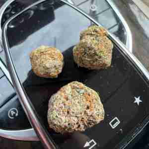 Ready to get laid Wanna get fucked Suck me dry