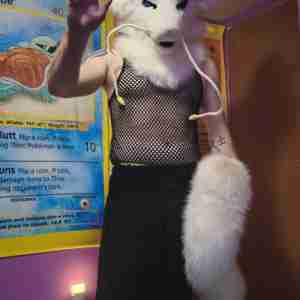 Fursona my half body fursuit furry