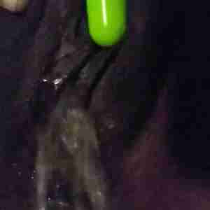 I Love To Fuck! I love to get into some kinky fucking & sucking with a freak nasty cum slut #Lets #Get #Kinky