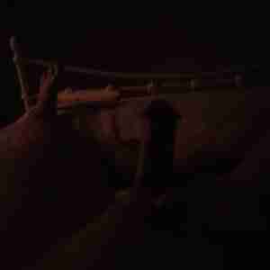 Horny guy Male 54 looking for women lives in Ulladulla Horny woman in Ulladulla