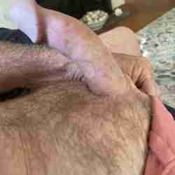 Horny on the cape