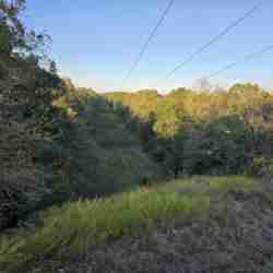 Horney in Oklahoma and Texas