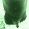 Looking single women 815