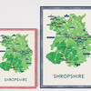 Shropshire m33ts