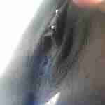 slymbyrd