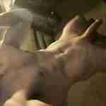 fitdaddy89