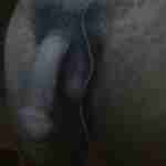 shafewange