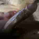 Black _huge_dick