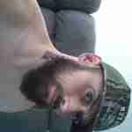 Text me I have 9.5in long thick gurthy cock and I like to eat pussy