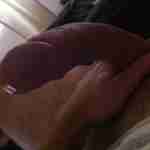 bsydneyd
