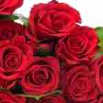 vishalsingh