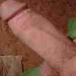 bangnorrisboy