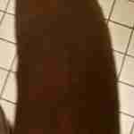 fatcock4u