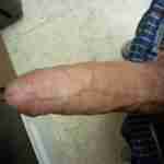 BigBoner520