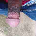 bigdckant661