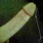 logie69