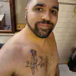 LostLatino