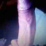 canicuminu