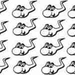 sperms