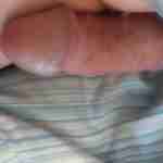thickshavedcutcock