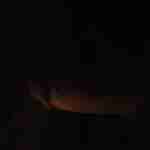 chris121911