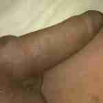 blackcock80