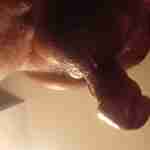 Wanna play