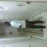 Afisa
