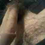longcock.