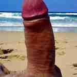 bisn