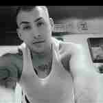 Piggybaybee