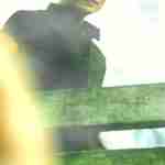niee