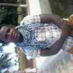 papilo