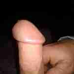 T8129171662