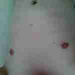 6chris