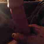 bangsbigdick