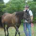 hay ware at in fl