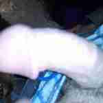 11inchsss