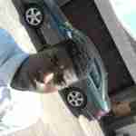shawney
