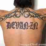 DEVAN-ZN